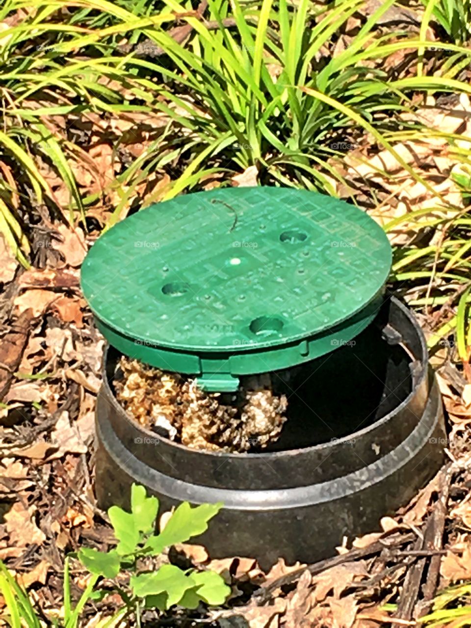 Bee hive in water pipe cover