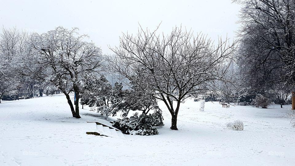 Winter landscape in Poland