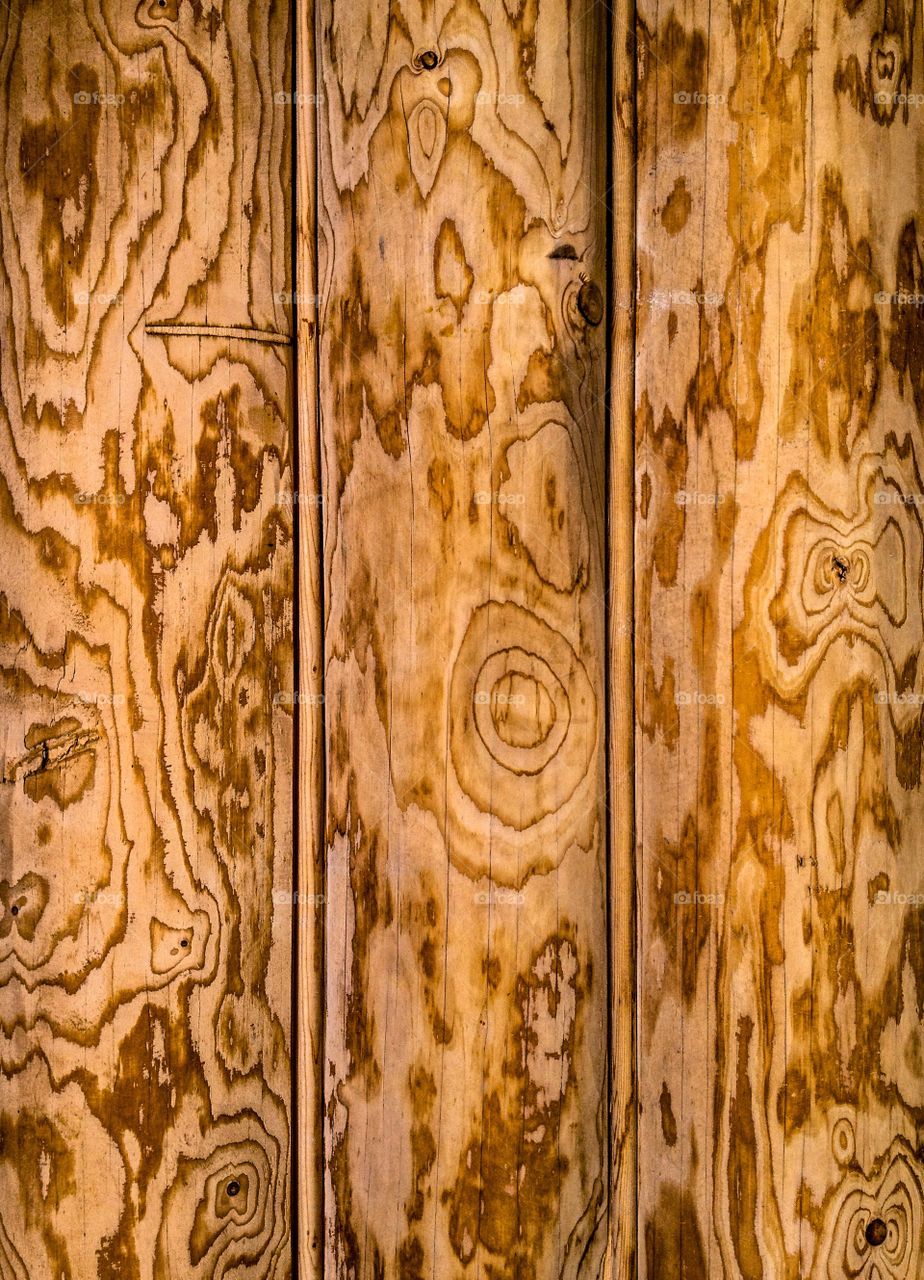 Full frame shot of wood surface