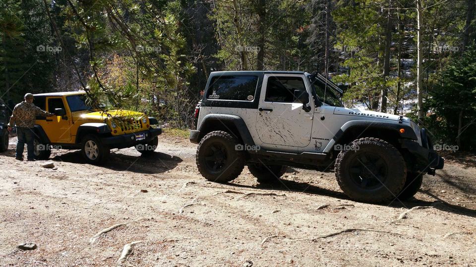 Getting ready to hit the trail.