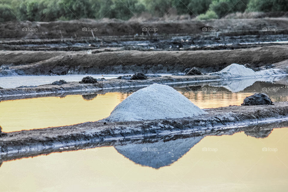 salt pond