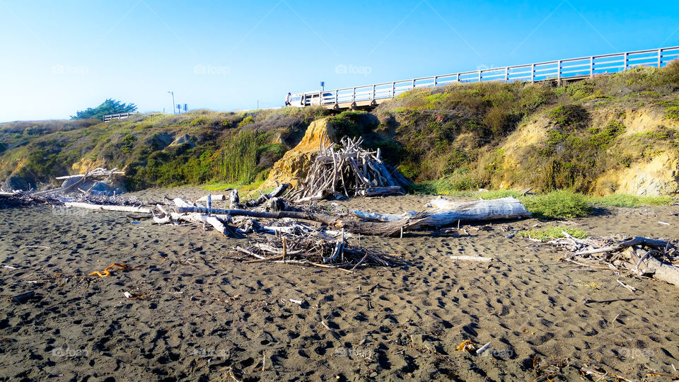 When the beach is covered in driftwood you build a fort