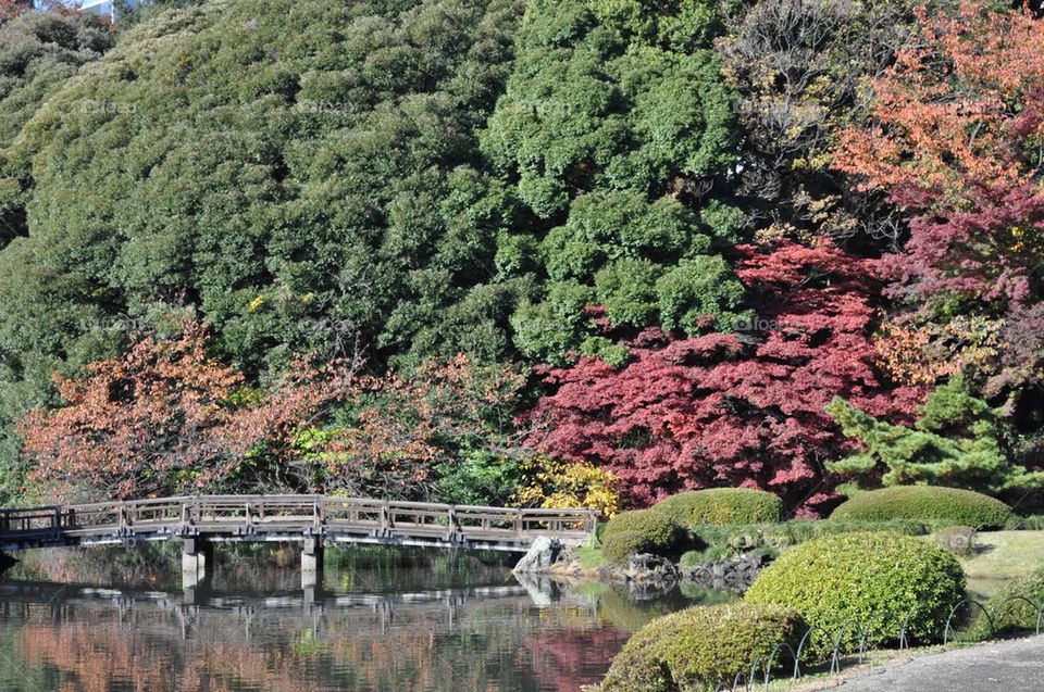 Bridge over water