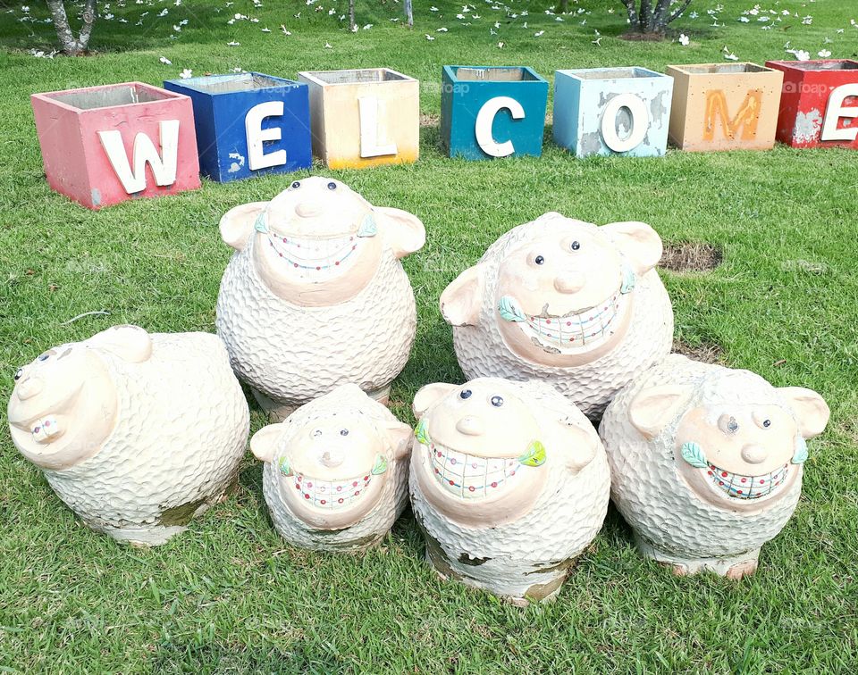 stucco smile grass sheeps nopeople outdoors white green