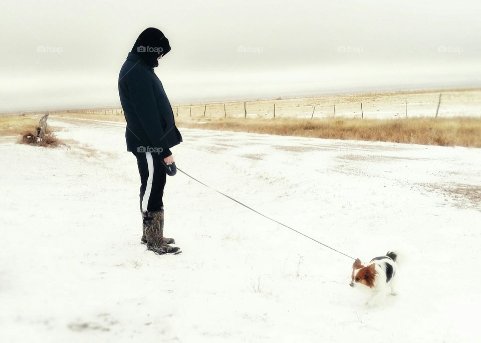 Cold walk with a friend. Man and dog out on a very cold winter day for a walk in a remote place with a rock road and old fence. Papillion leash large man