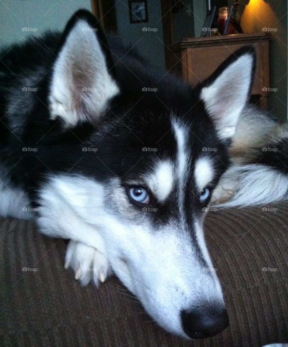 My baby taking a nap 