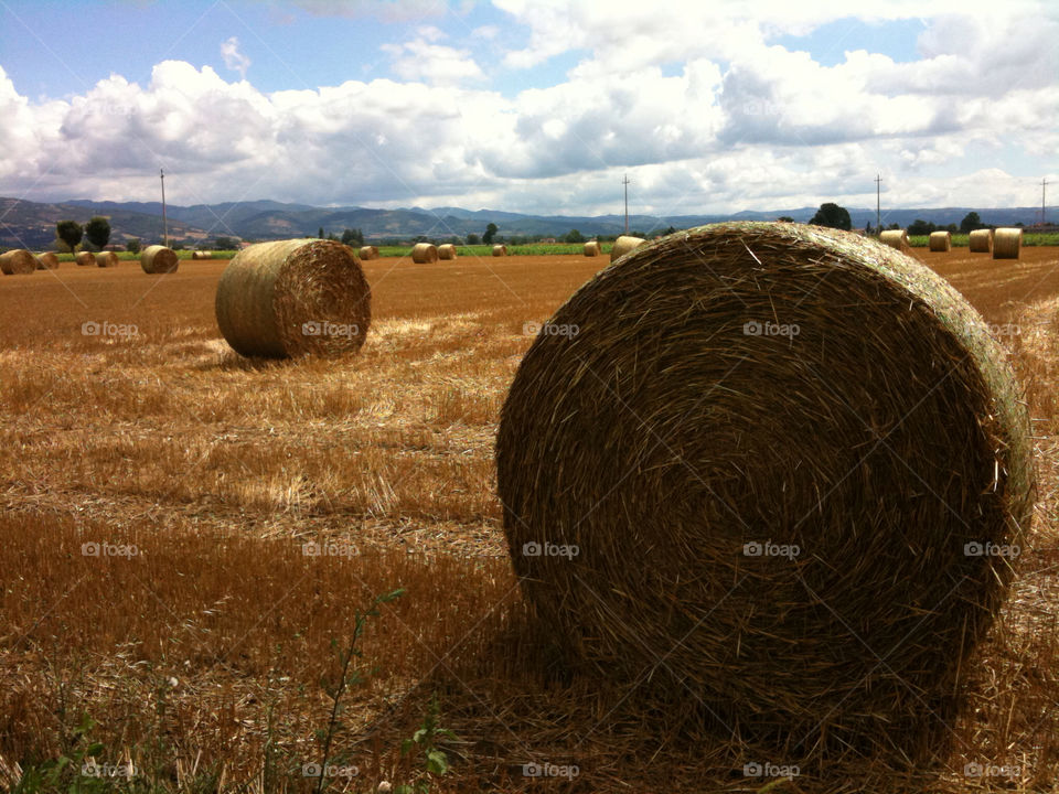italy siena - natura by babie