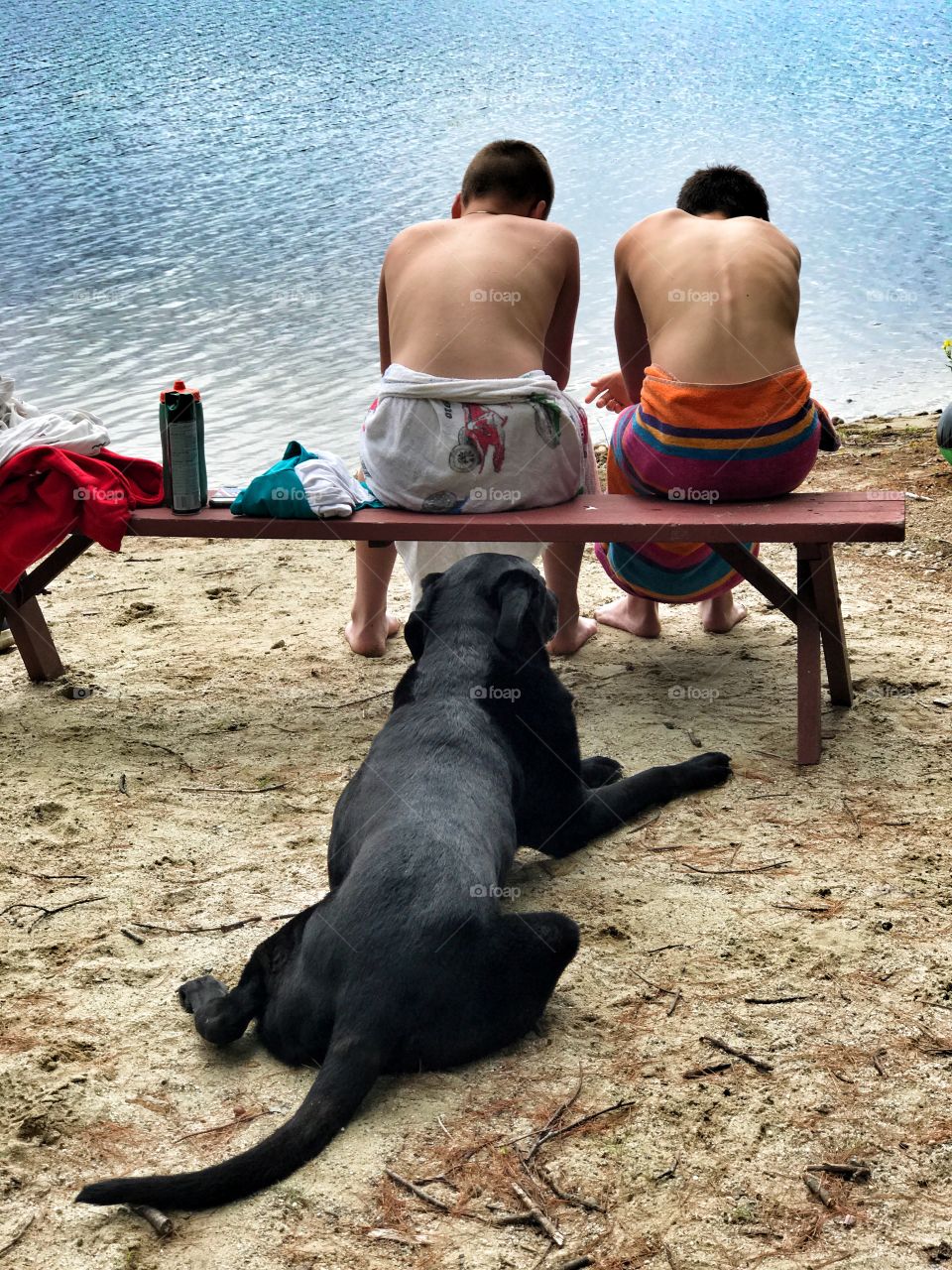 Boys and a dog