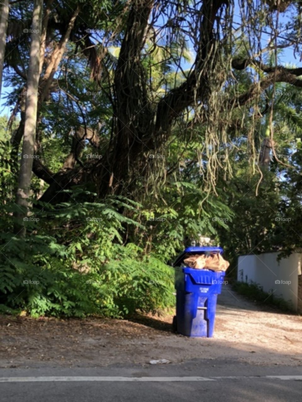 Recycling day in the Grove