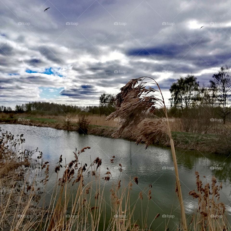 Кострома, Россия