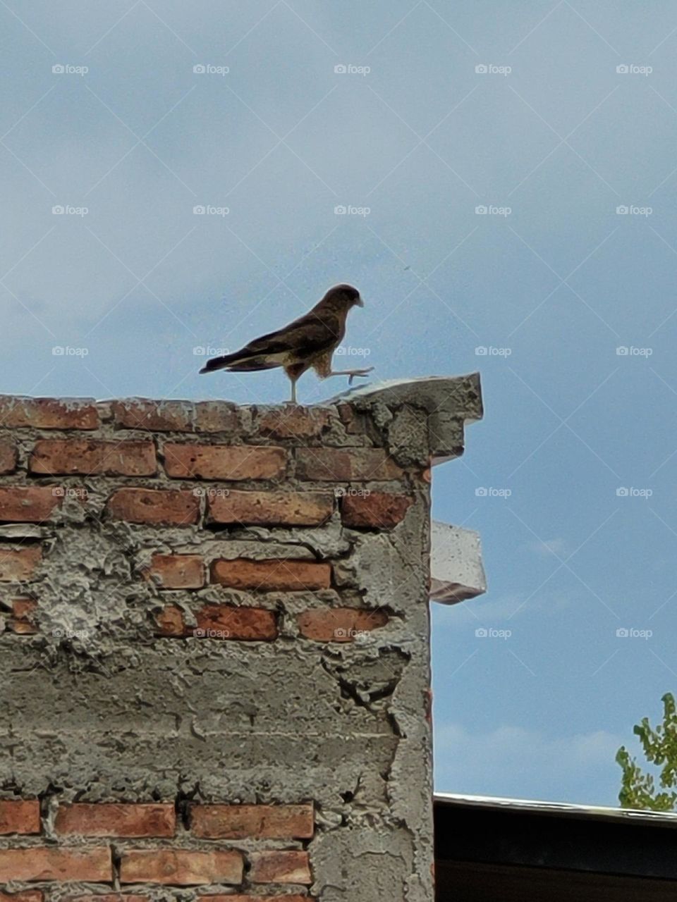 rectángulos en la pared