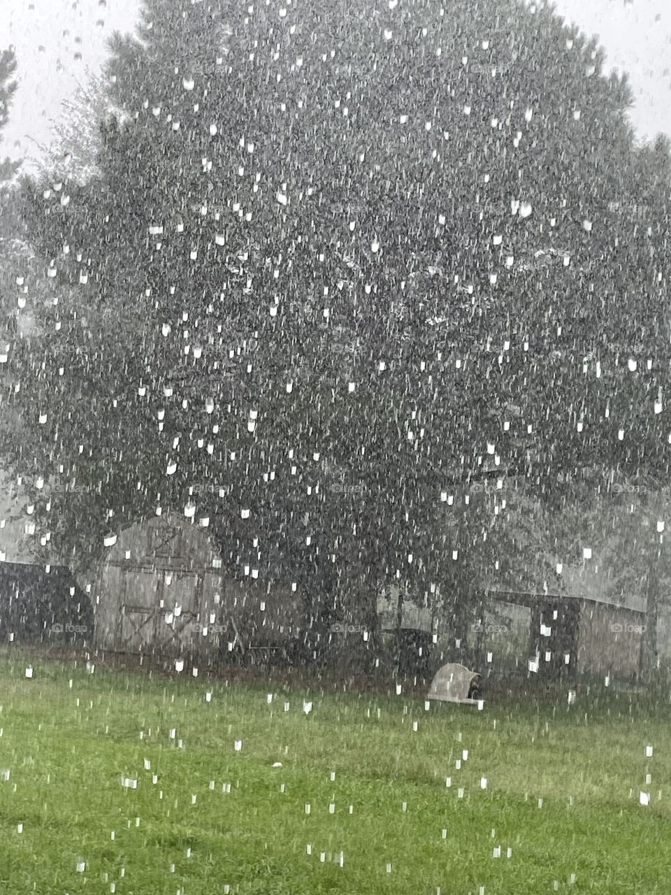 Pouring rain. 