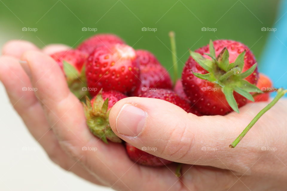 Strawberries