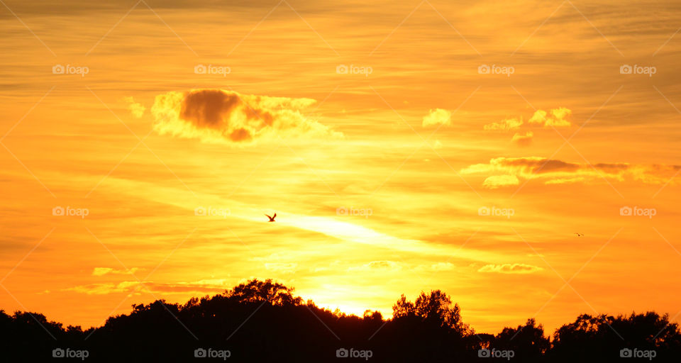 Rich Sunset. This photo of a sunset shows how the sun can set the mood for appreciation for the sun.