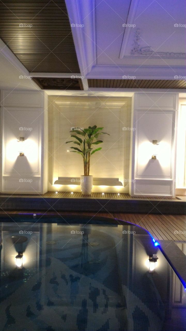 ornamental trees, pond trees, pond profiles, indoor trees, tree lights, garden lights, garden decoration