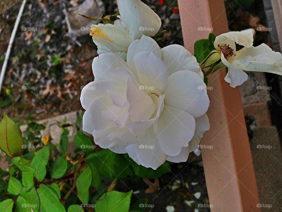 landscape ocean green ground by itsAus