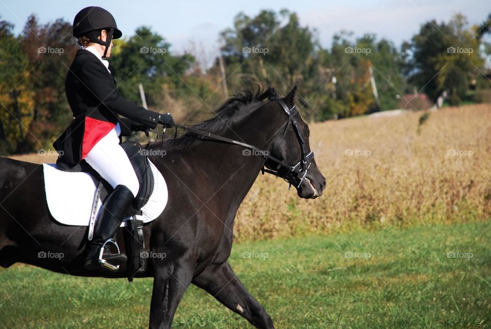 Red riding. Red trim from a riding jacket peeks through during a horse riding  event