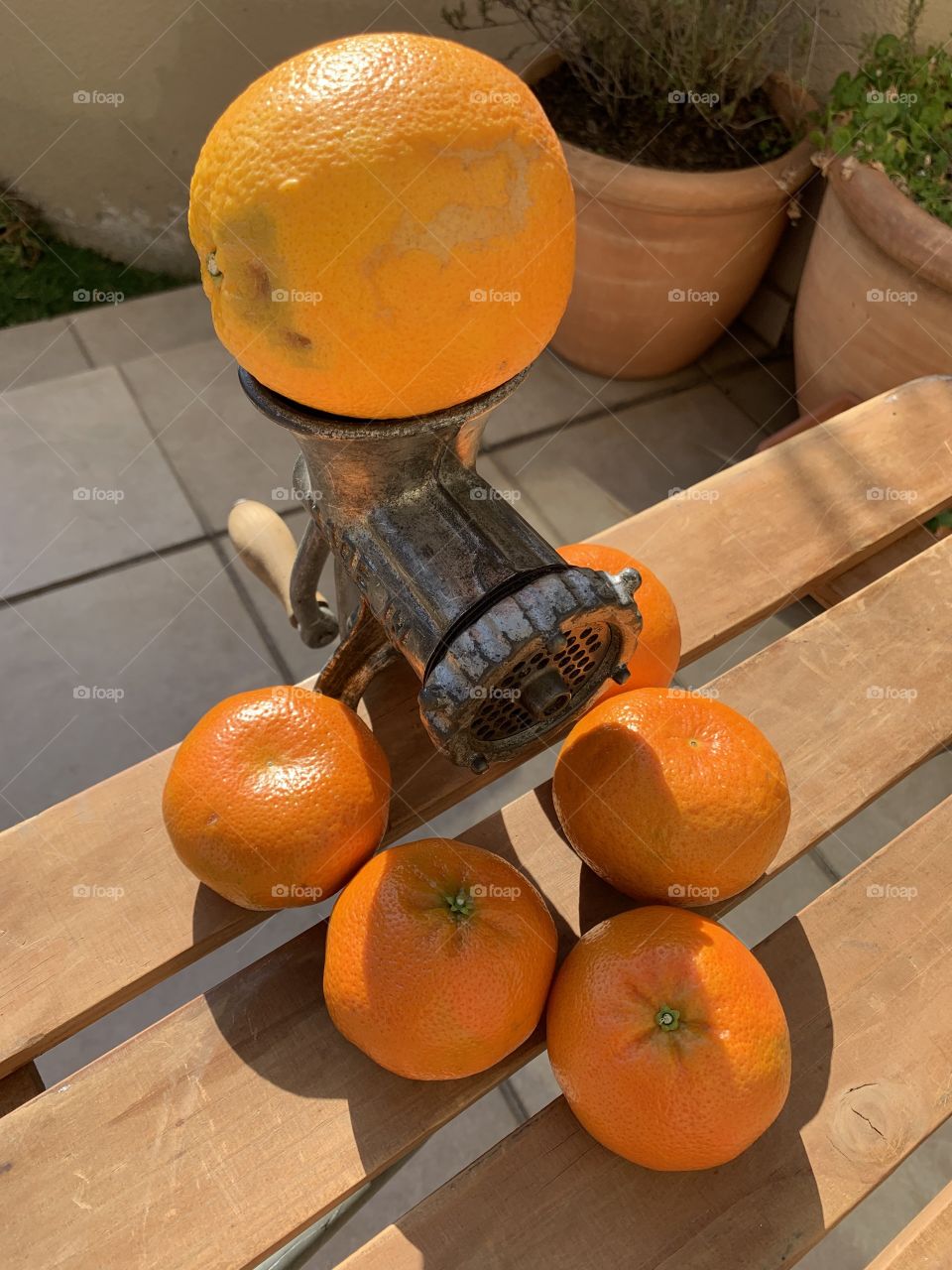 Getting nectarines from oranges!?! Mincing oranges into smaller pieces. So colourful and appealing 