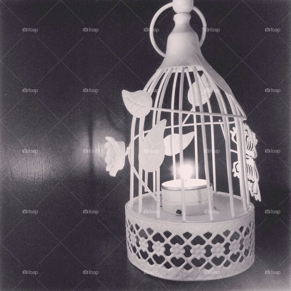 Vintage bird cage