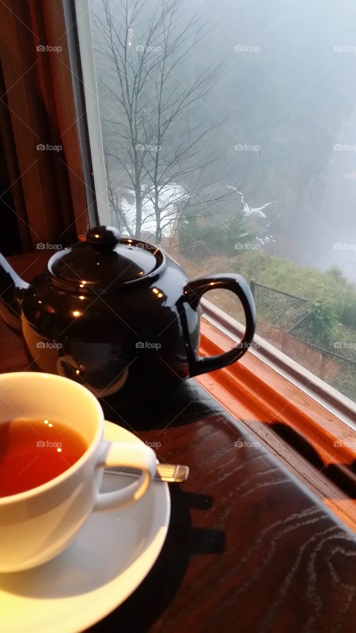 Warm Tea, Misty Day