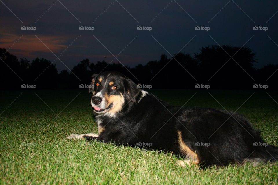 Maddie at Sunset