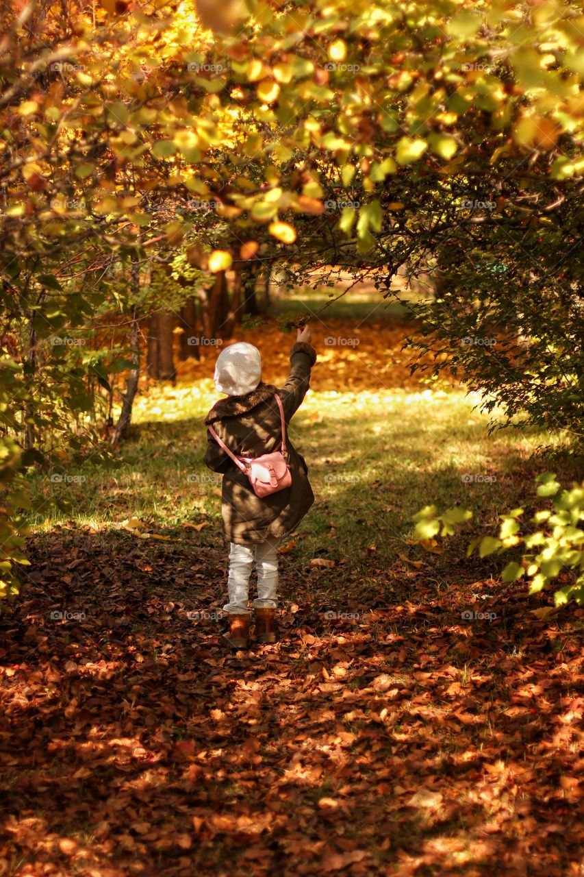 Little girl in the autumn garden picks berries of hawthorn
