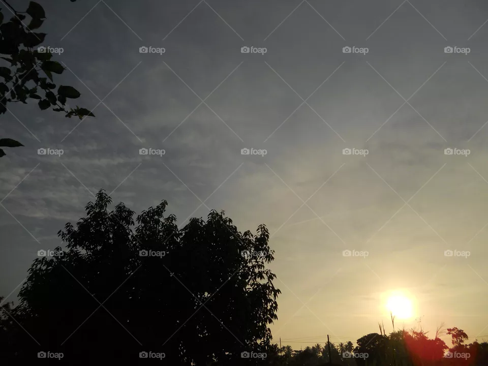 sunset sky