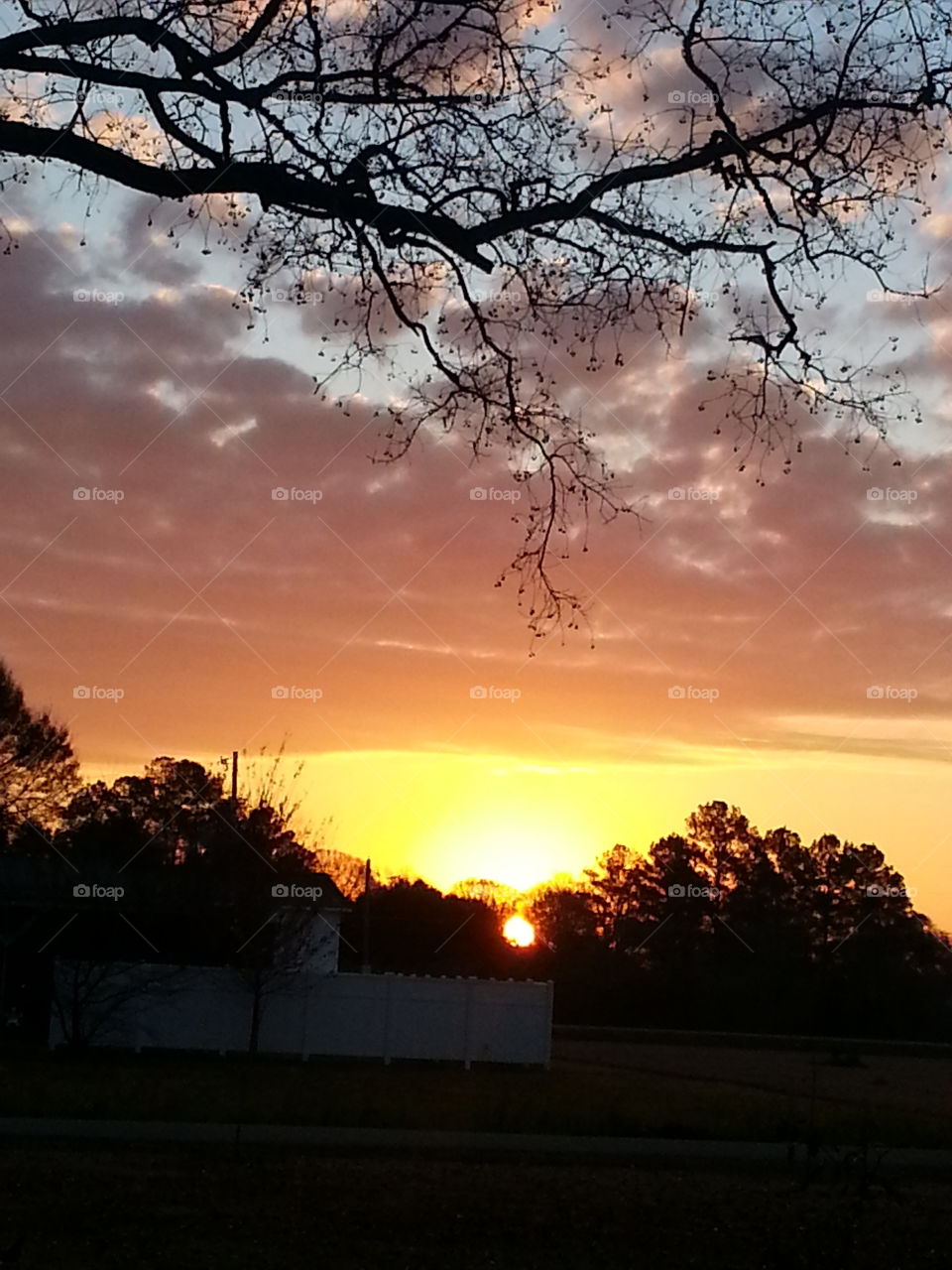 Sunrise in South Louisiana. I was at my mom's house early one morning drinking coffee when I saw the beautiful sunrise!