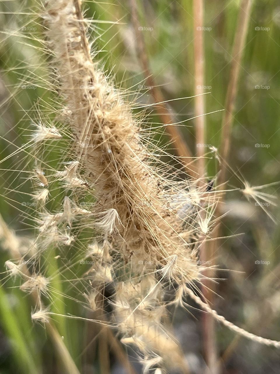 📷 Color Explosion 