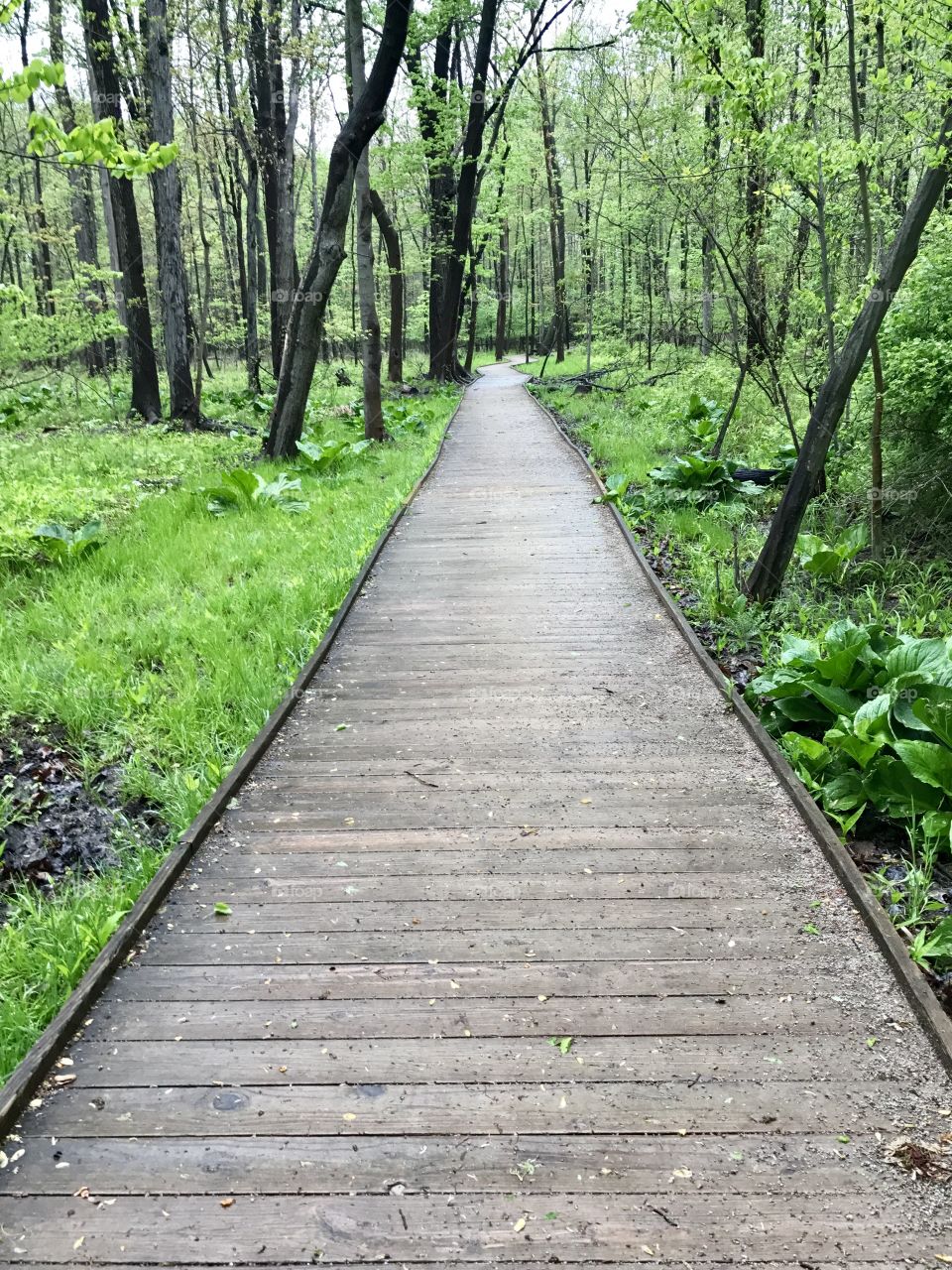 Veteran's Park, Mentor, Ohio