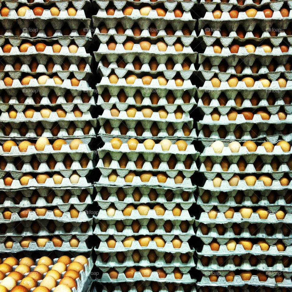 eggs egg carton cartons by clarice629