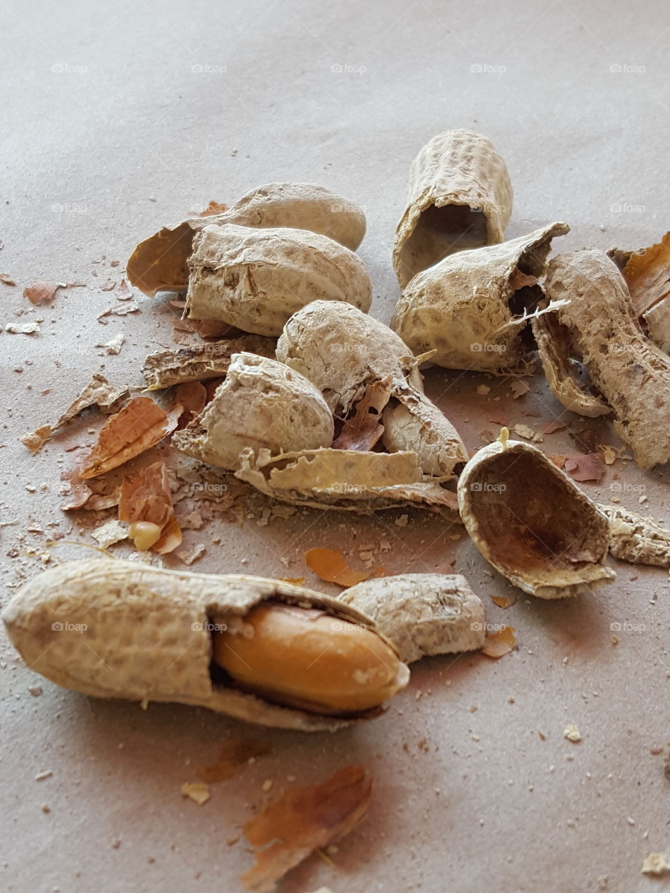 Close-up of peanuts peel