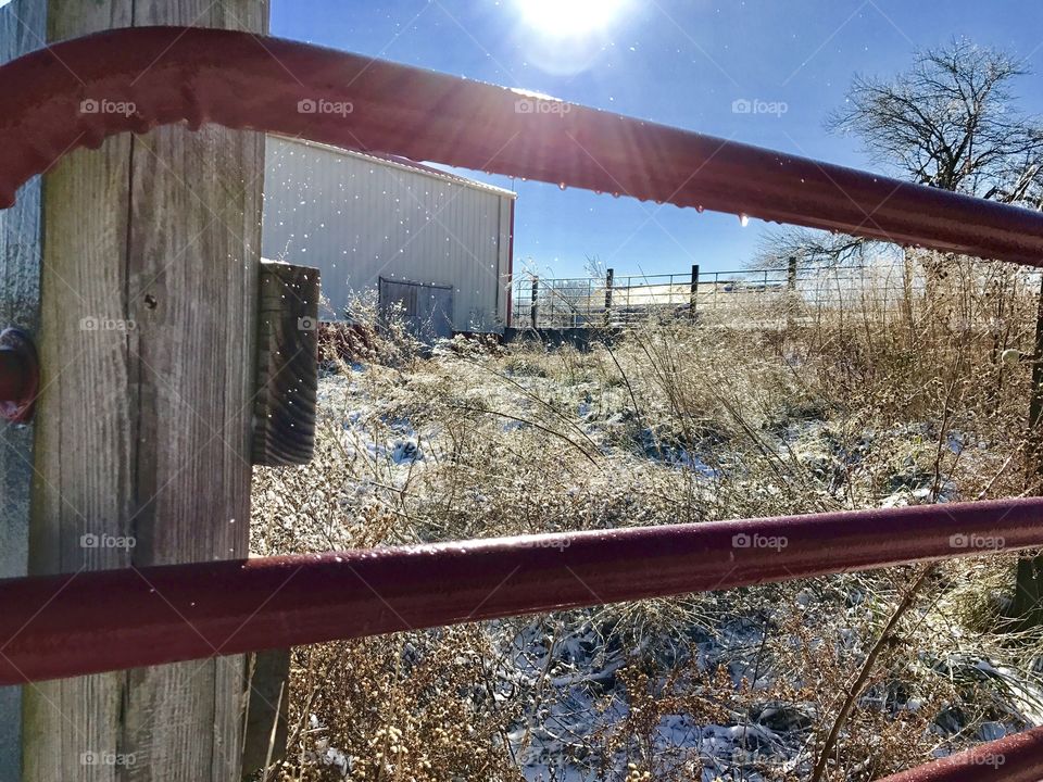 Winter Story, cold, winter, rural, frozen, corral, barn, wall, gate, entrance, door, doors, sun, bright, crisp, overgrown 