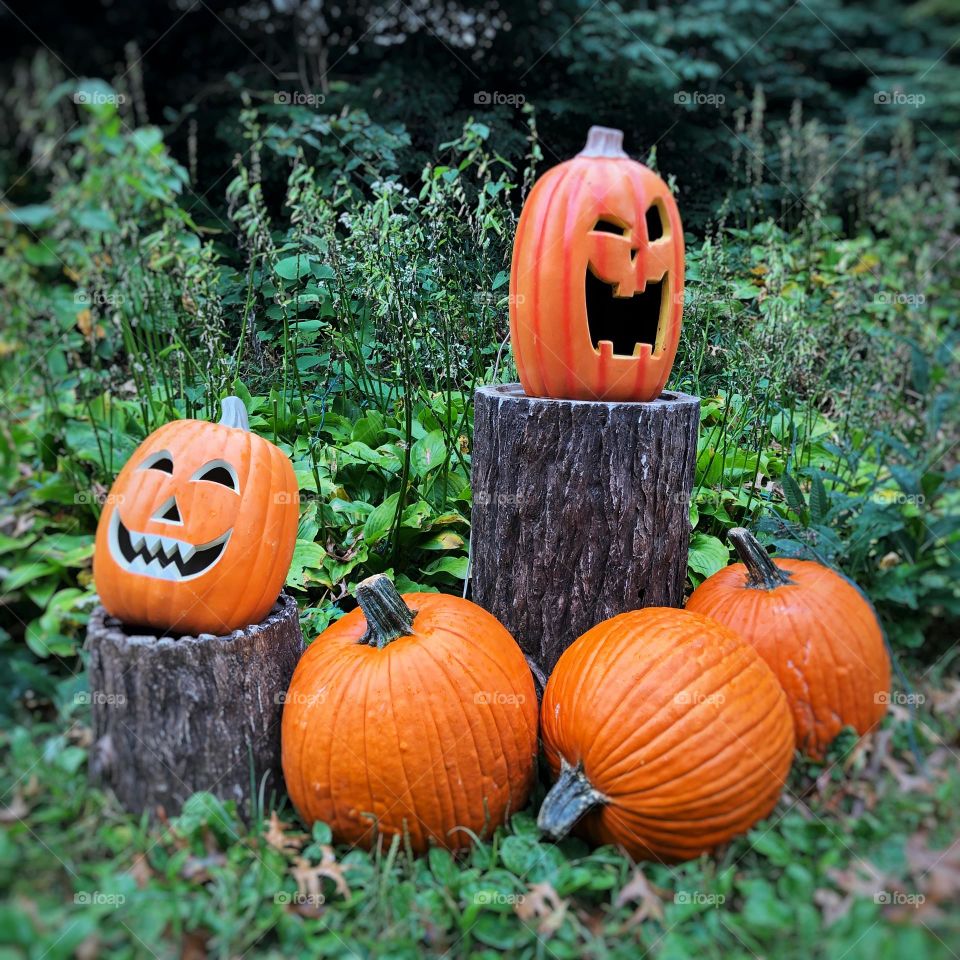 Jack-o’-lanterns