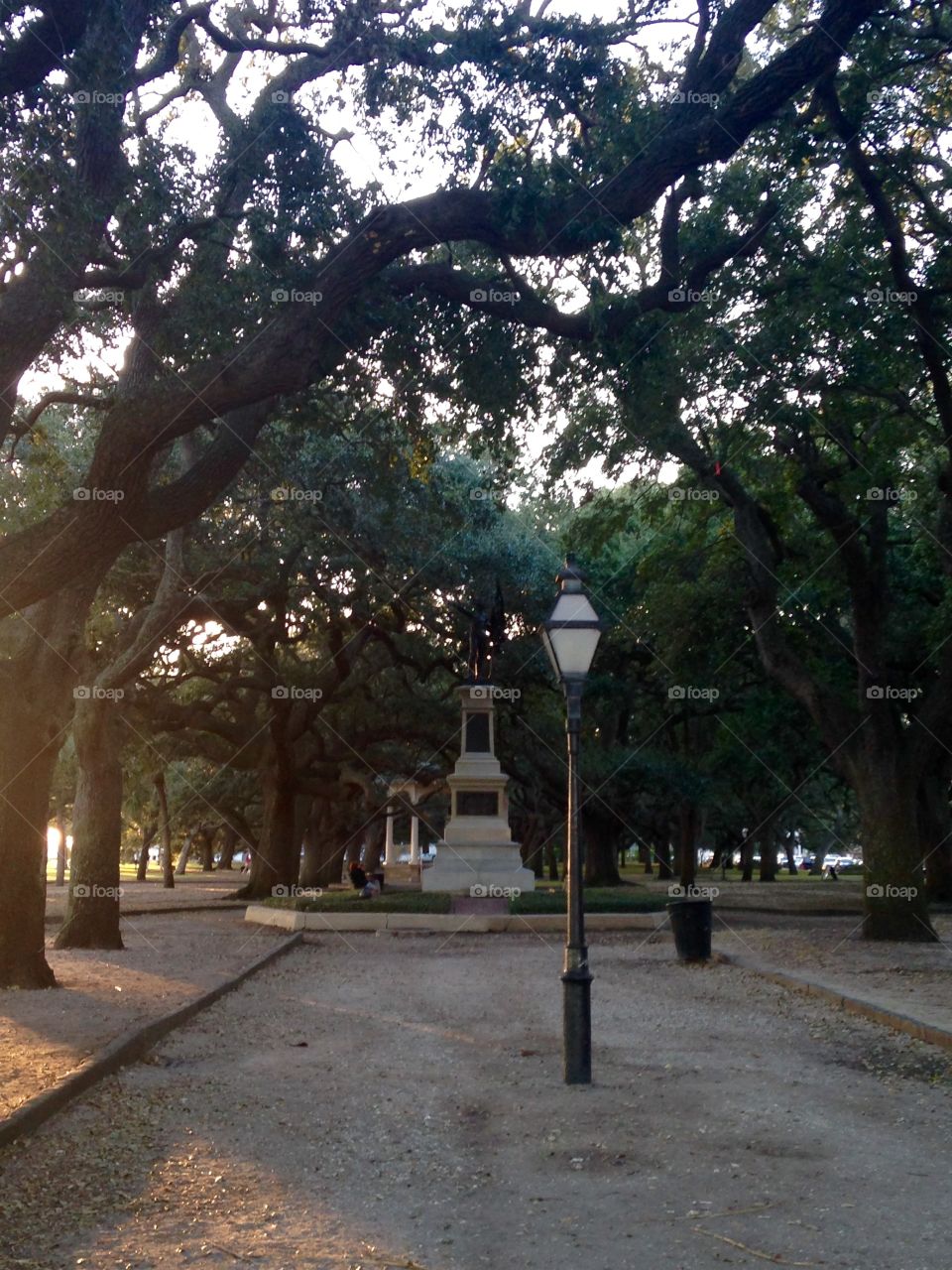 Charleston Park 
