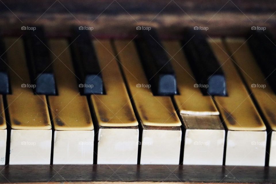 Old piano keys 