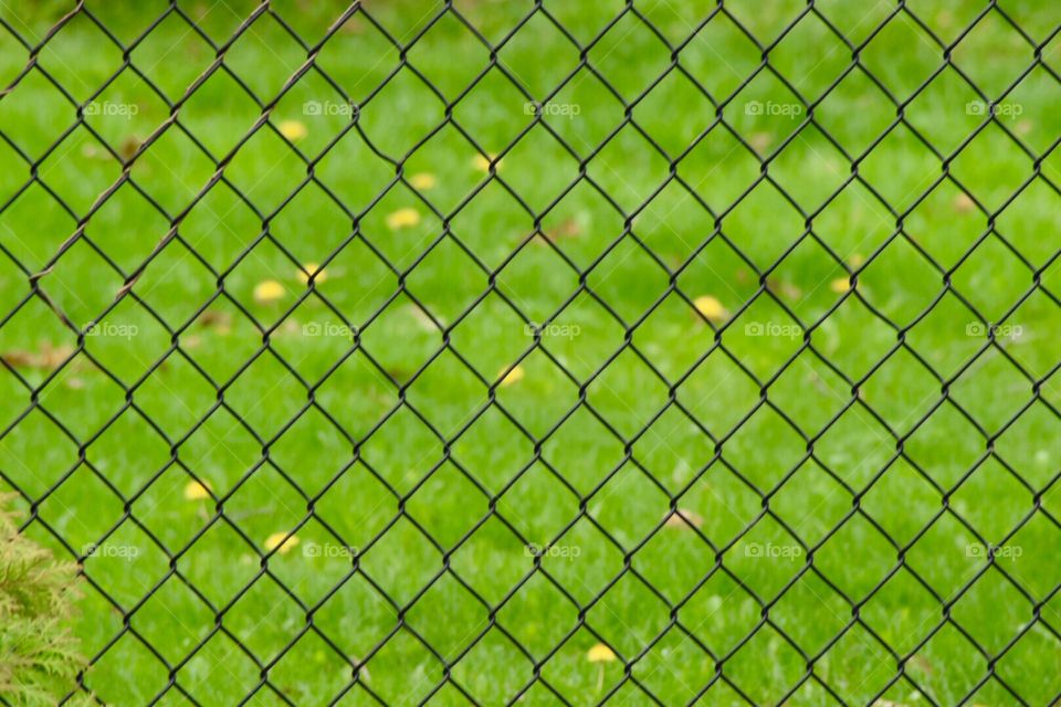 Symmetry, fence , abstract 