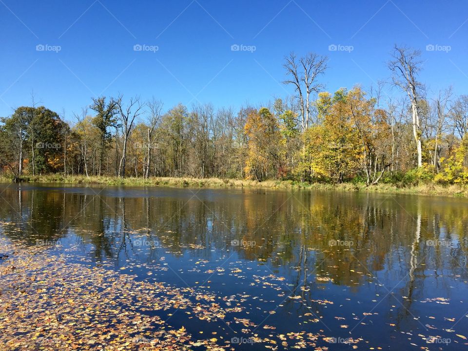 Fall River . Fall River 