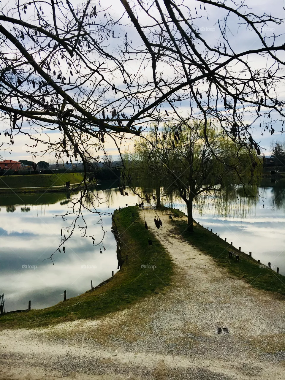 Lago 