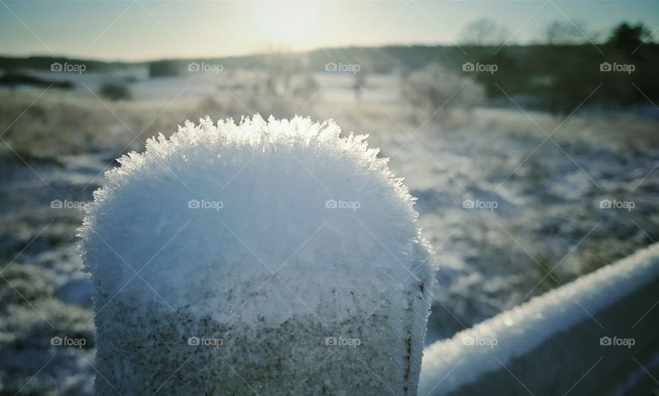 Snowy fence post