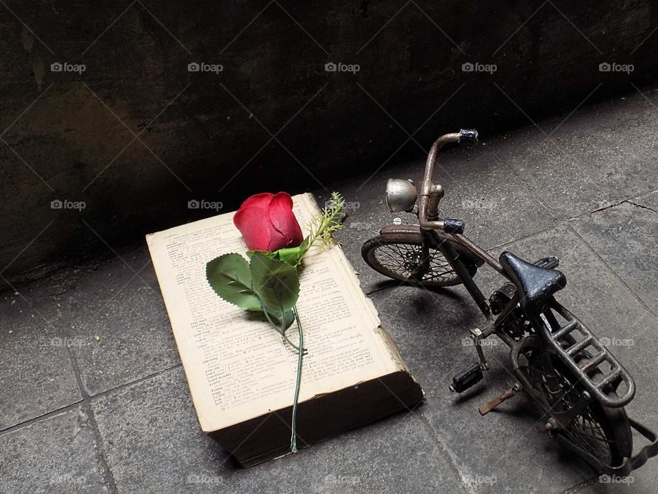 The meaning of love in a book