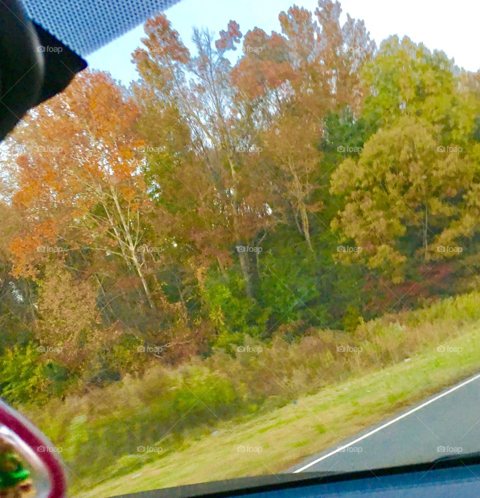 Autumn on the road