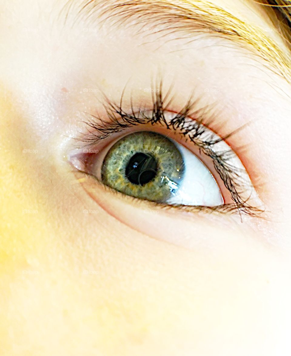 Detail of human eye