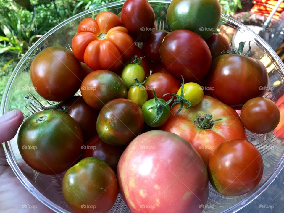 Summer harvest