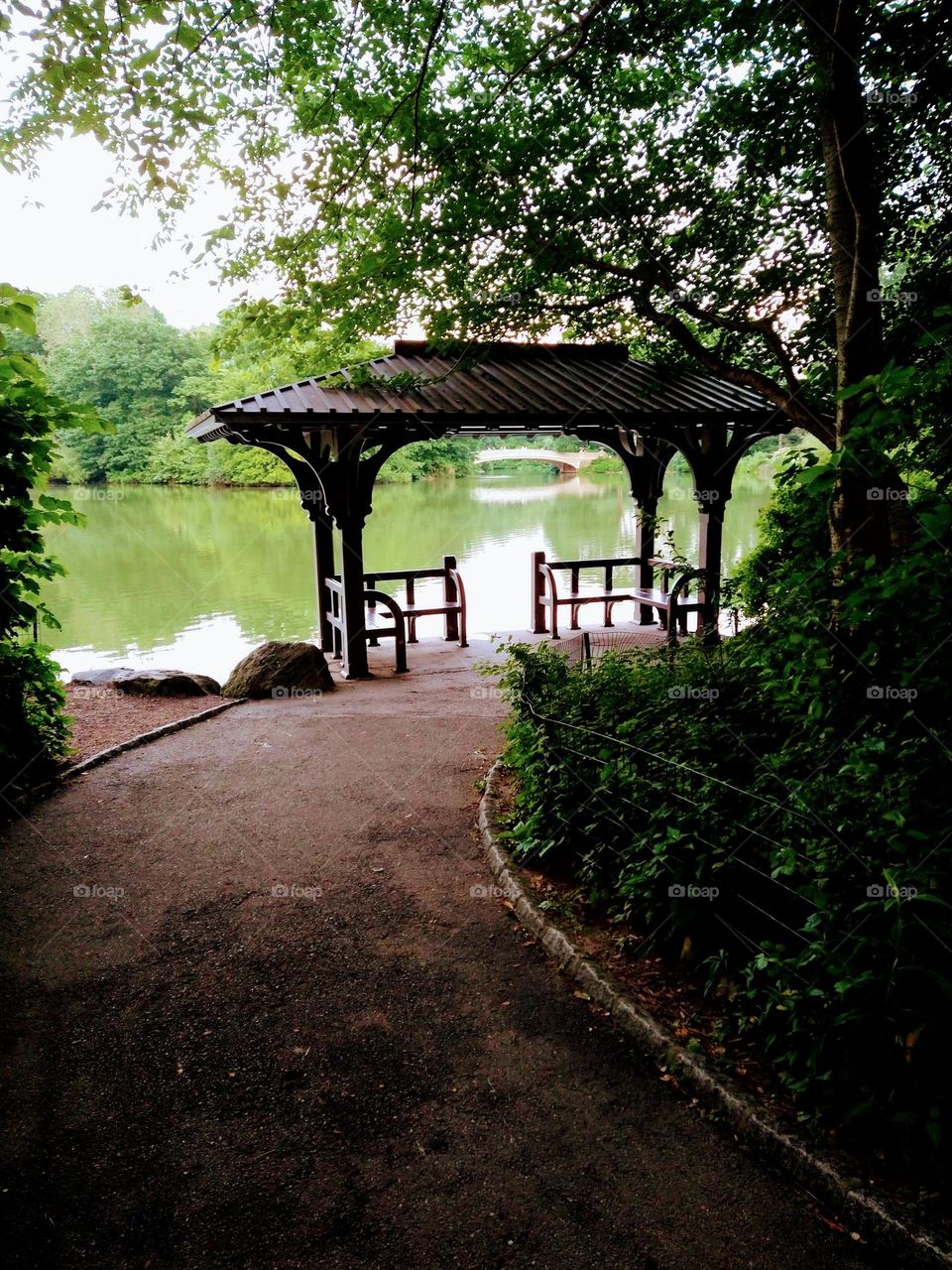 View on My Hike in Central Park NYC