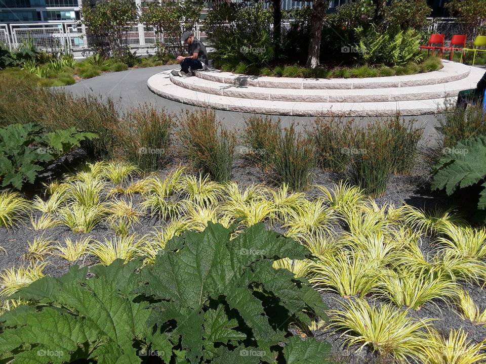 Salesforce Park San Francisco California