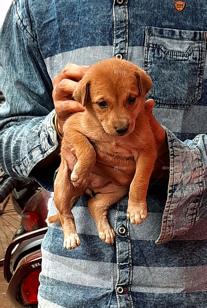Guy holding a cute little puppy.
