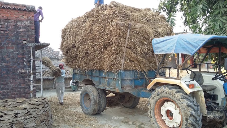 mounting paddy on tractor for sale