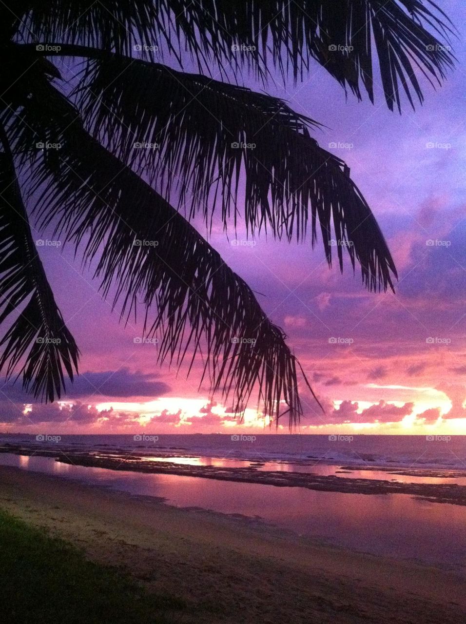 🇺🇸 A beautiful sunrise on the beach of Porto de Galinhas, on the coast of Brazil. Long live the holidays! / 🇧🇷 Um lindo amanhecer na praia de Porto de Galinhas, no litoral do Brasil. Viva as férias!