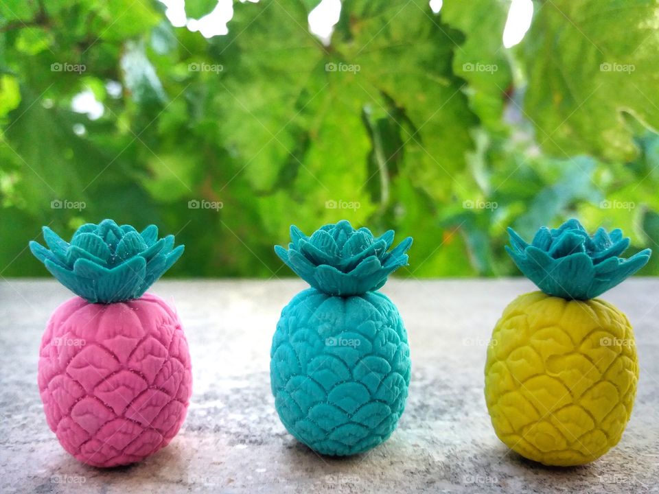 Lovely tiny pineapples!🍍